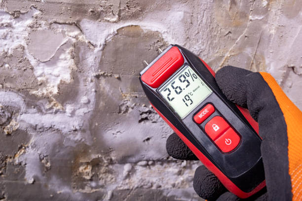 Best Best Mold Removal Companies  in Pine Ridge, SC
