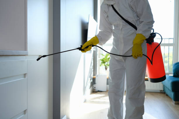 Best Affordable Mold Removal  in Pine Ridge, SC