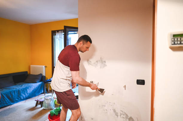Home Mold Removal in Pine Ridge, SC